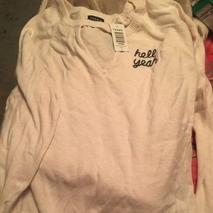 Light pink Torrid sweater